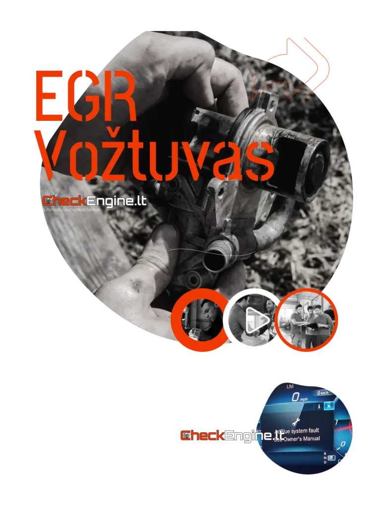 egr voztuvo klaida rodo ka daryti